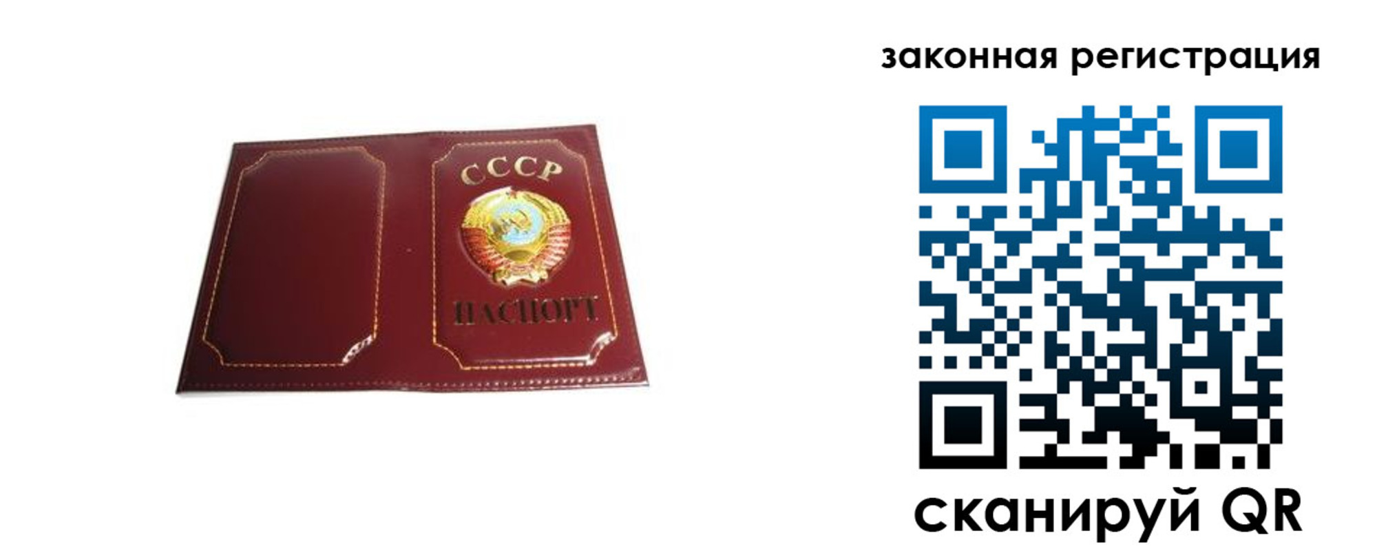 прописка поиск в Мурманске